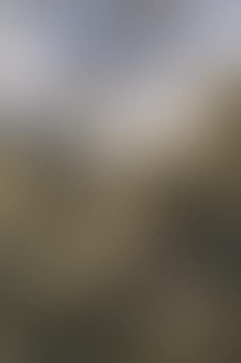 Rocky landscape (preview)