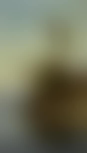 Egyptian woman at water hole on the Nile (preview)