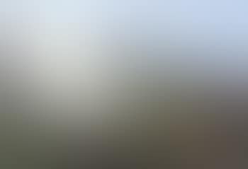 Vue du Glacier de Grindelwald (preview)