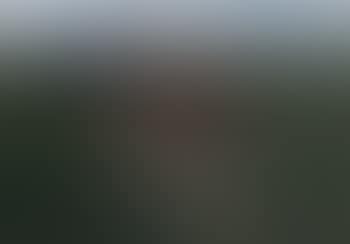 Horse racing (preview)