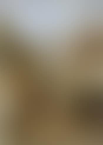 View of Torbole (preview)