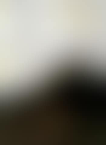 Girl herding sheep in mountains (preview)