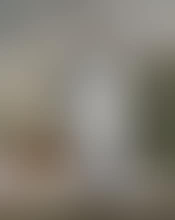 Still life (preview)