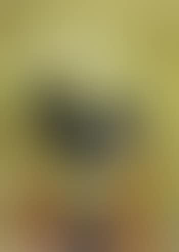 Fleurs. Fleurs (preview)