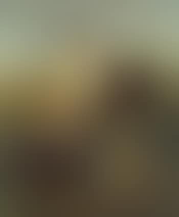 Two harvesters (preview)
