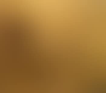 Partridge shooting (preview)