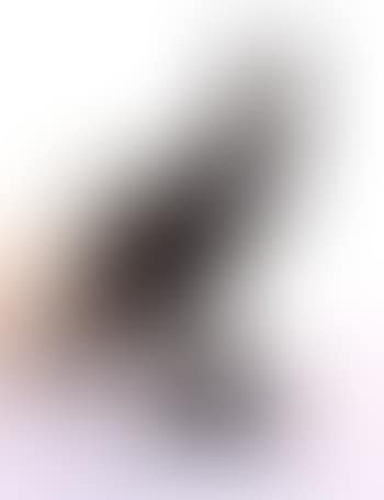 Condor (preview)
