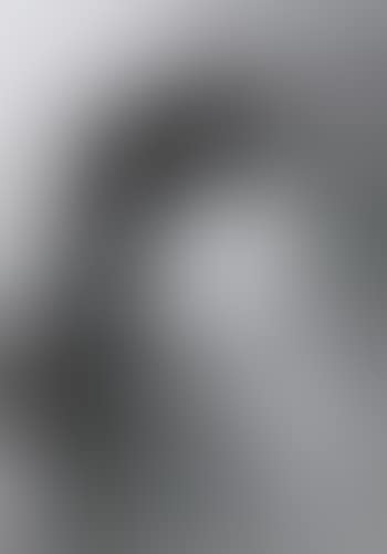 Portrait of lady (preview)