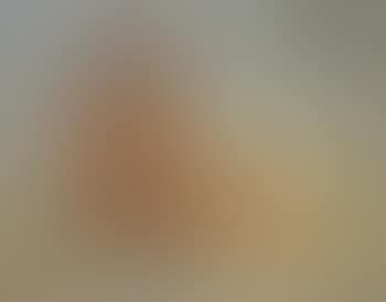 Sunbather (preview)