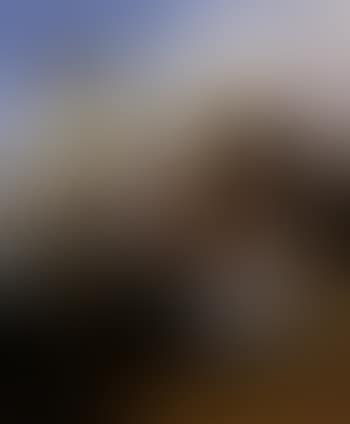 The eft (preview)
