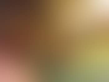 Le petit jardin (preview)