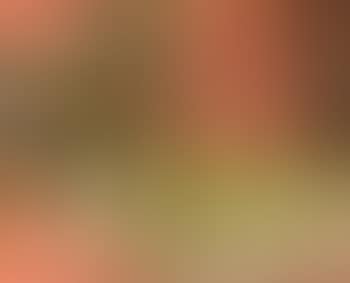 Fleurs et fruits (preview)