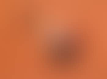 The orange panel (preview)