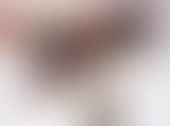 Possible pure land enblem (preview)