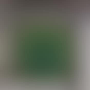 Homage to the square, aphonic (preview)