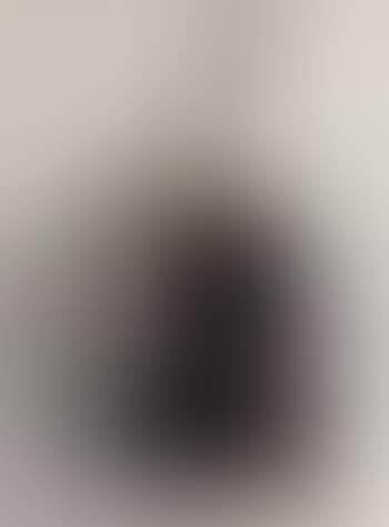 Le grand violoncelle (preview)