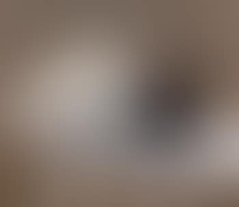 Still life of dish and eggs (preview)
