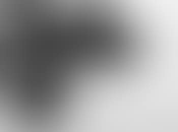 Natura morta (preview)