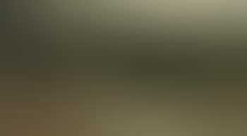 A water buffalo in tall grass (preview)