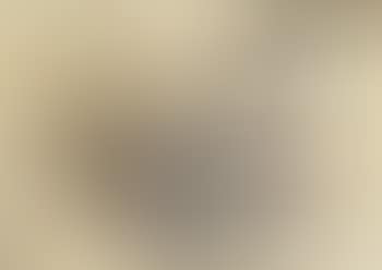 Composition (preview)