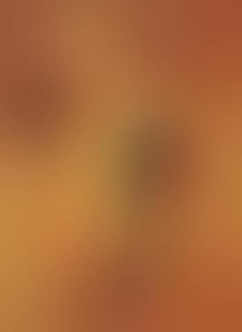 Composition (preview)