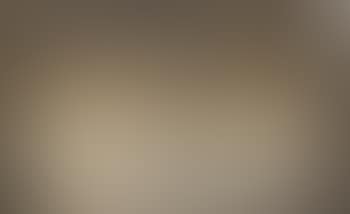 Two white marks on a Sienna background (preview)