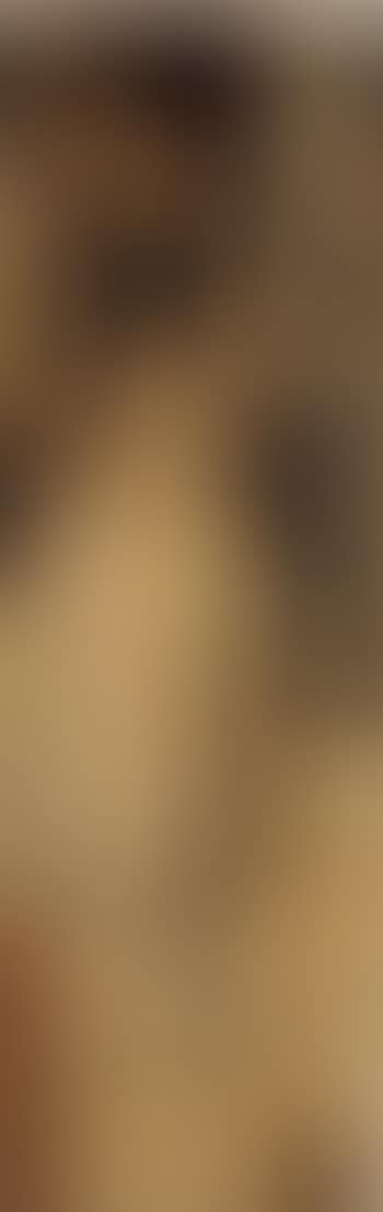 Allegorie der Skulptur (preview)