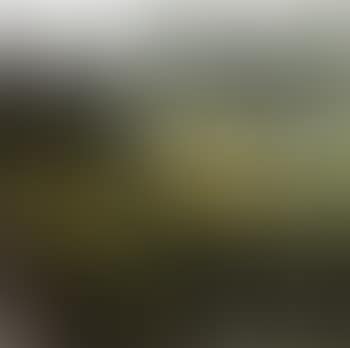 Landscape of early spring (preview)