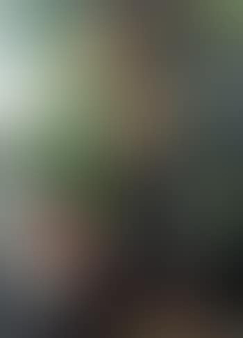 Balinese girl with offerings (preview)