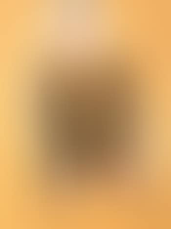 Man in brown suit (preview)