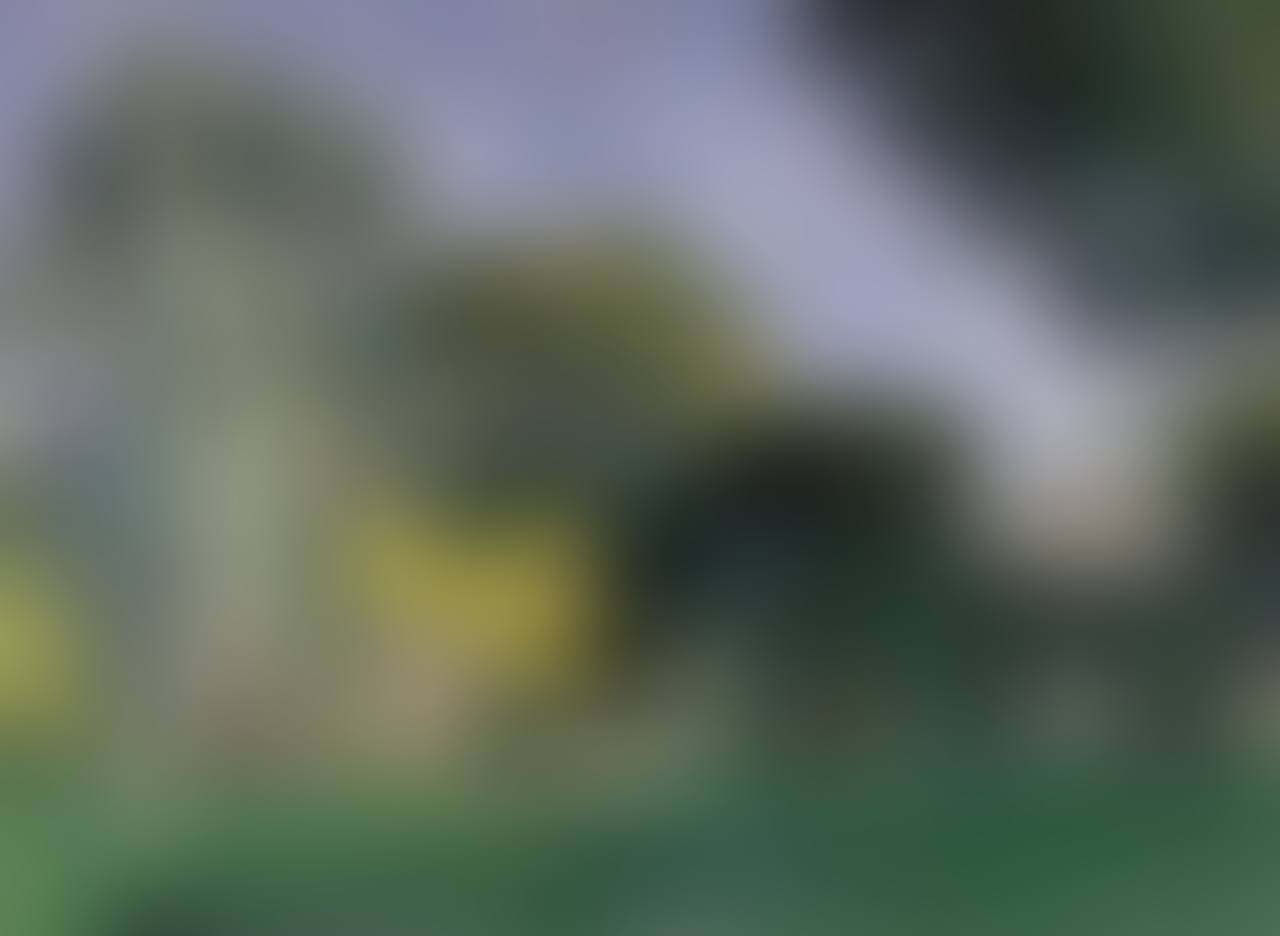 Arbres au Jas de Bouffan (preview)