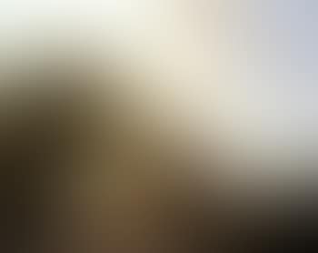 Rhine landscape (preview)