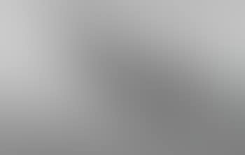 Barred Upland Goose (preview)