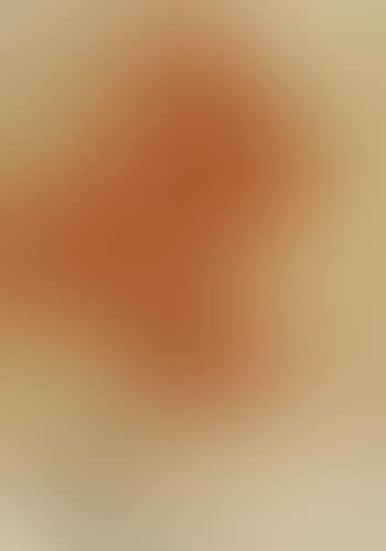 Red Lilies (preview)
