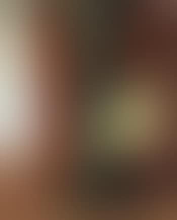 Le Premier Secret (preview)