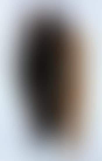 T 1958-12 (preview)