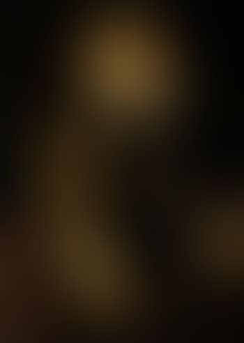 Portrait of the Archduke Albert of Austria (preview)