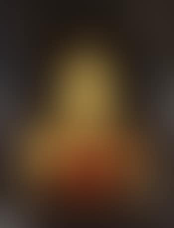 Portrait of noblewoman (preview)