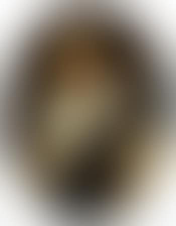 Portrait of an officer (preview)