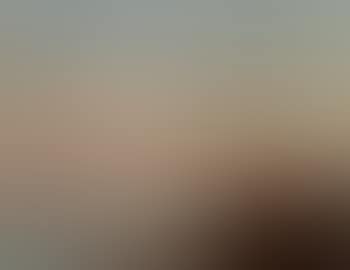 Crimean Coast (preview)
