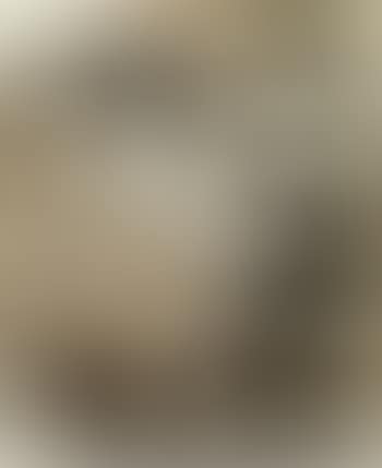 Le chevalet (preview)
