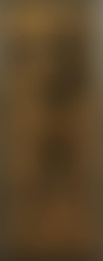Young nude negress (preview)