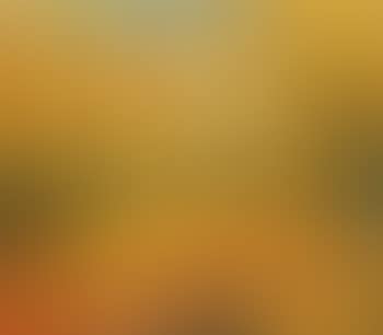 Herbst, baume und dunen - autumn, trees and dunes (preview)