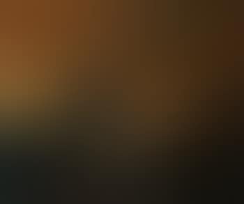 Nature morte (preview)