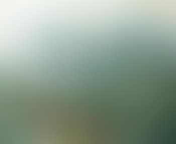 Paysage (preview)