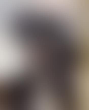 Portrait de Madame Pierre Dupont (preview)