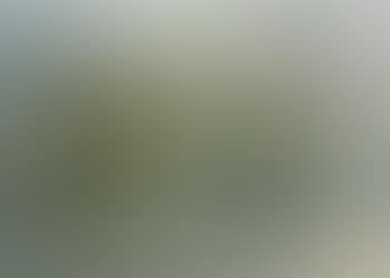 Paysage (preview)