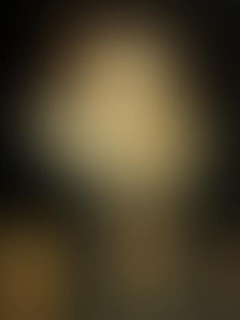 Portrait of a noble woman (preview)