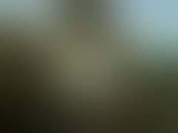 Landscape with mounted soldiers departing from their fortress (preview)