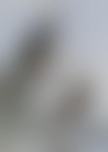 Toucan and wryneck in a landscape (preview)